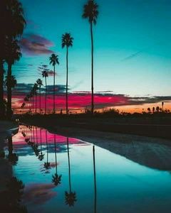 Meet your Posher, Rae